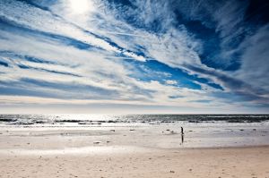 c84-2012.01.22_Los Angeles_040-Bearbeitet.jpg